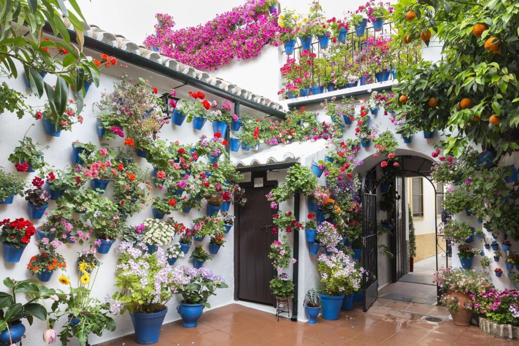 courtyards los patios